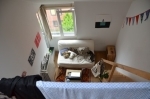 Kot in Antwerpen op Google maps
